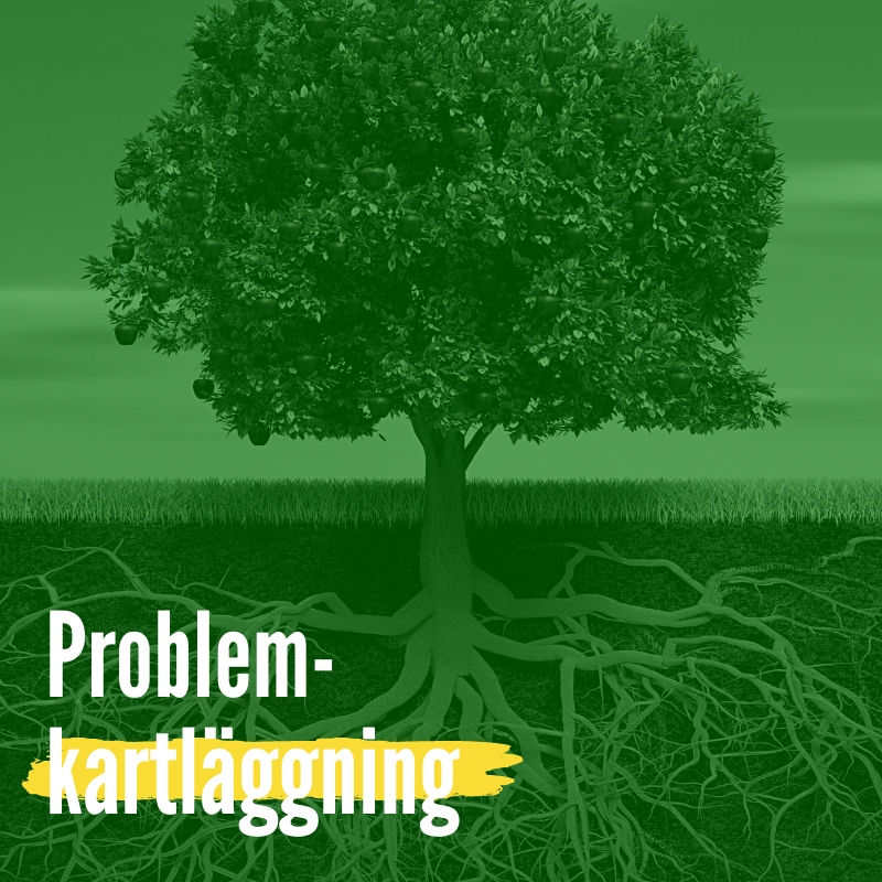 Problemkartläggning