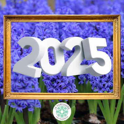 2025 News &amp; Updates