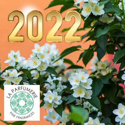 2022 News &amp; Updates