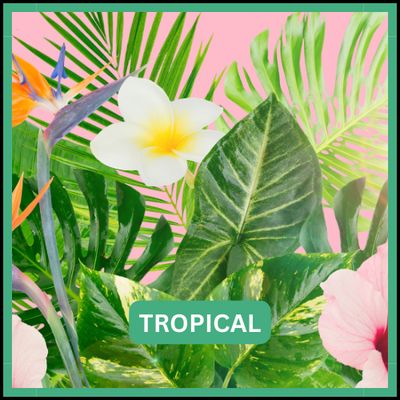 Tropical
