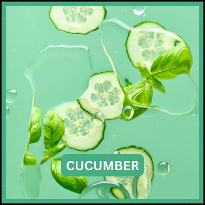 Cucumber