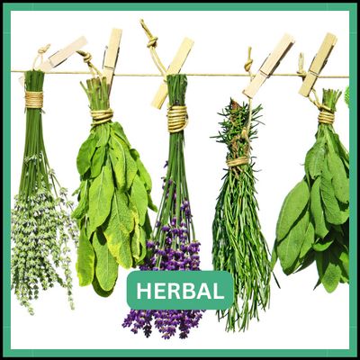 Herbal