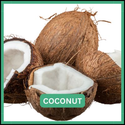 Coconut
