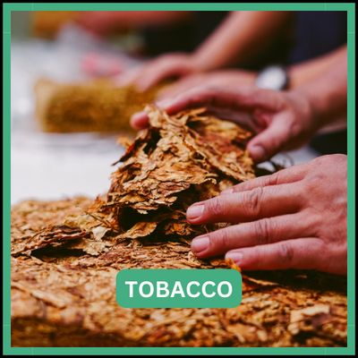 Tobacco