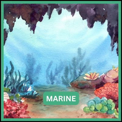 Marine