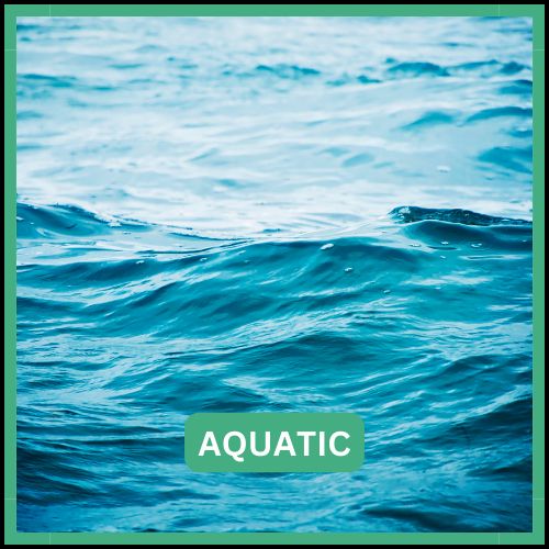 Aquatic