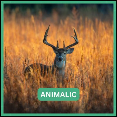 Animalic