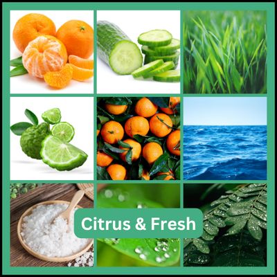 Citrus & Fresh