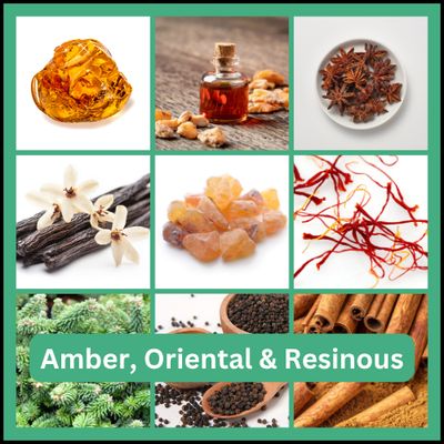 Amber, Oriental &amp; Resinous