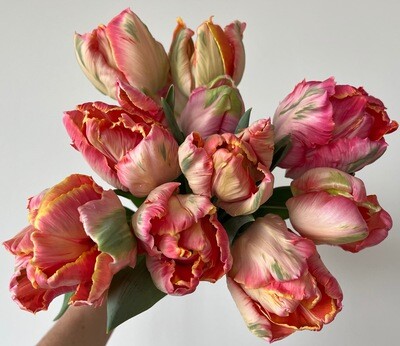 Weekly Tulip Bouquet Subscription (Winter 2023)