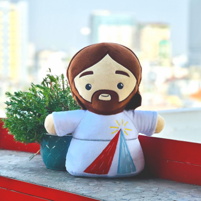 Divine Mercy Plushie