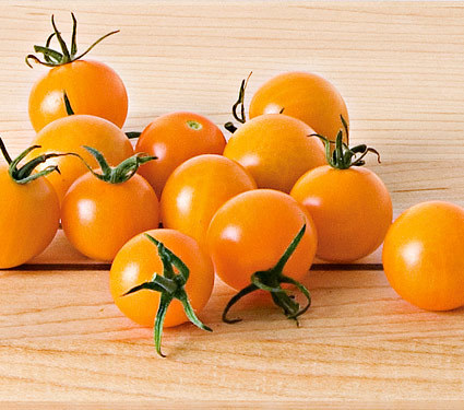 SunSugar Tomato Plant