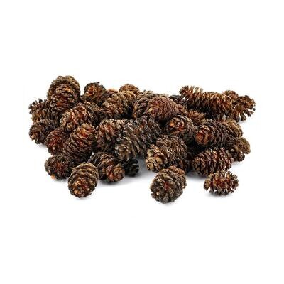 Pigne di Ontano 50g
