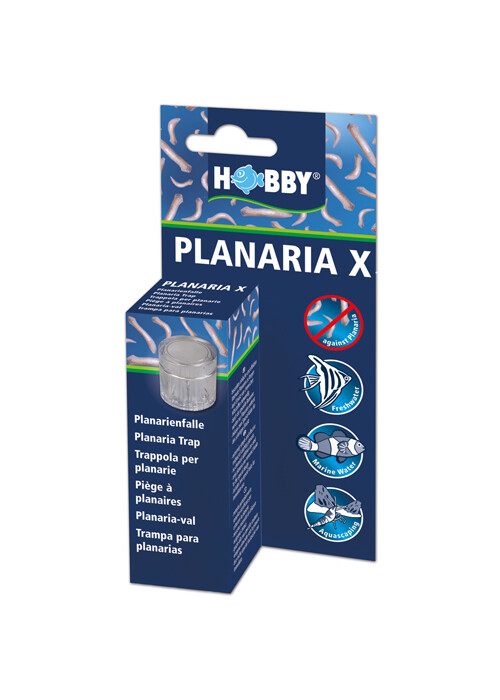 Hobby Planaria X