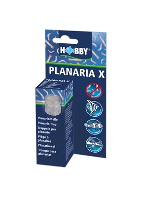 Hobby Planaria X