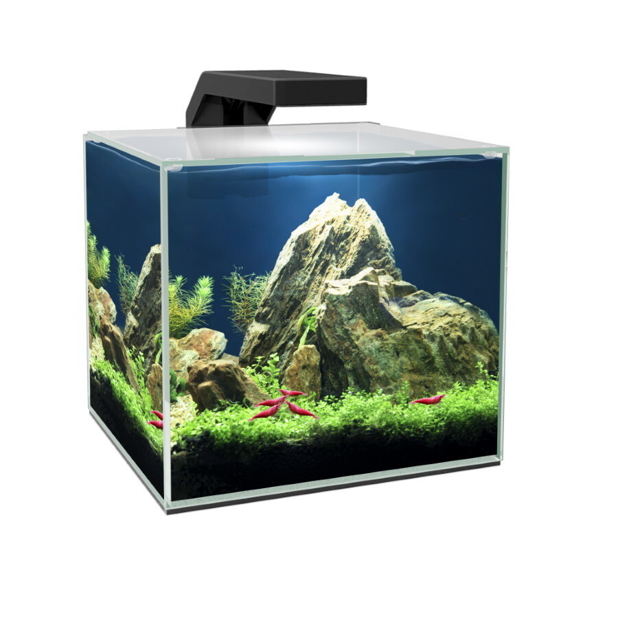 Acquario Ciano Cube 15 LED