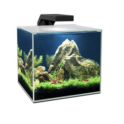 Acquario Ciano Cube 15 LED