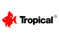 Tropical