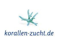 Korallen Zucht