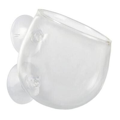 Vaso Rotondo Vetro Piante