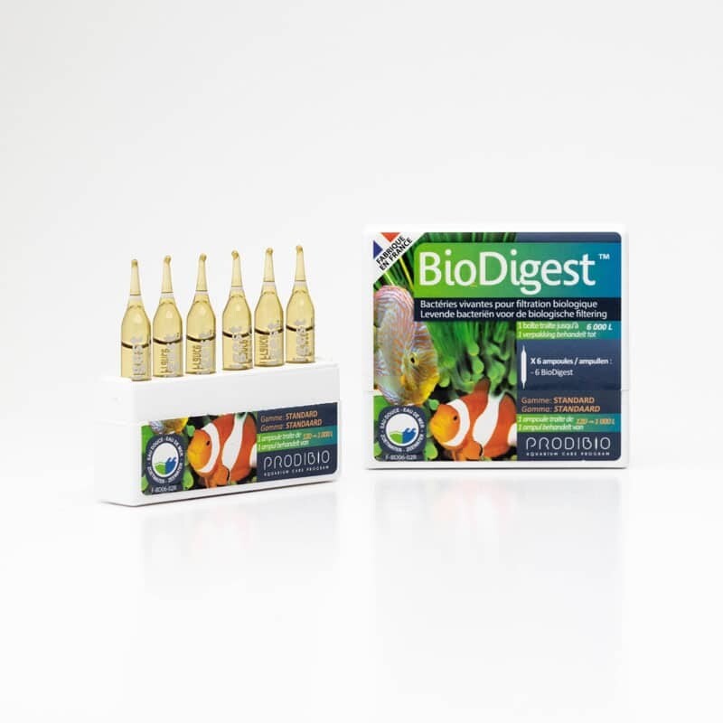 Prodibio Biodigest 6 Fiale