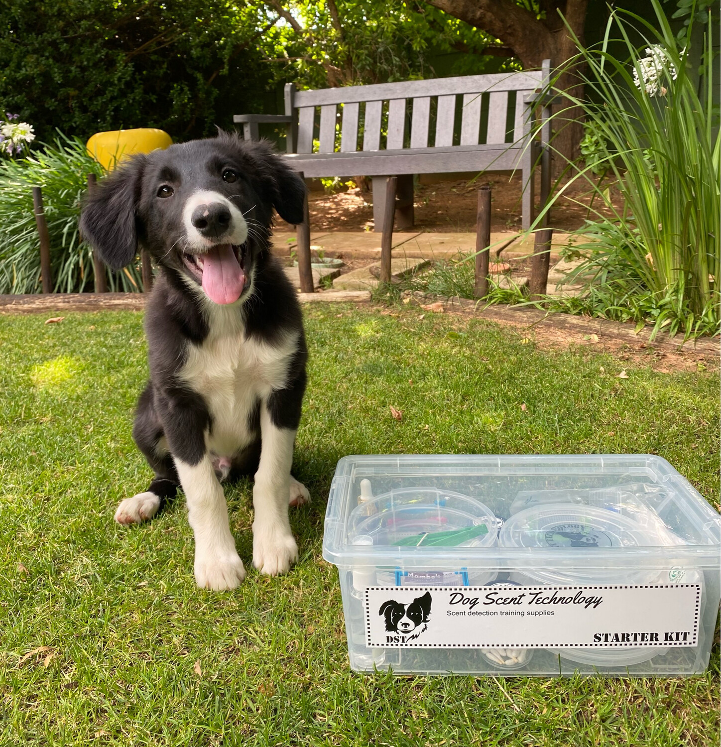 Starter Training kit