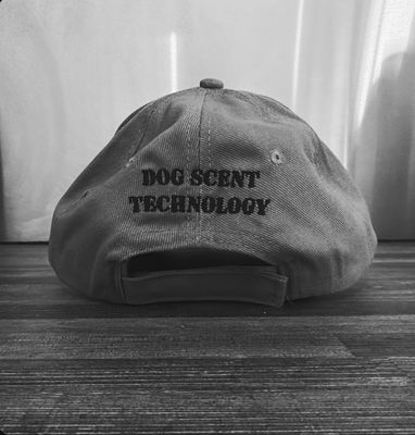 DST Cap (Grey)