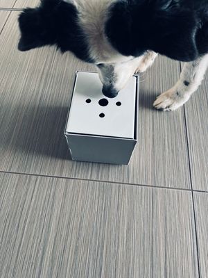 DST Metal Detection Box