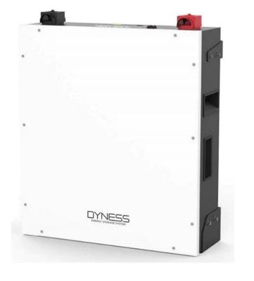 Dyness Battery Lithium Ion DL5.0C 5.12KWH 51.2V 100Ah