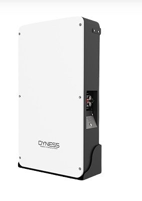 Dyness 10.24kWh 200Ah LiFePo4 Lithium Ion Battery