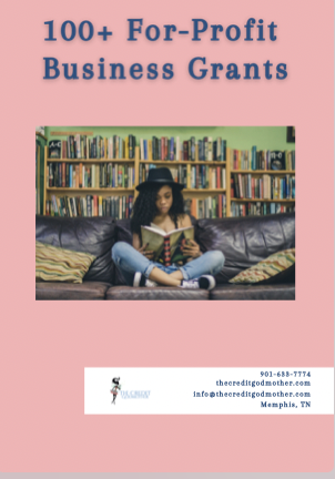 100+ For Profit Business Grants