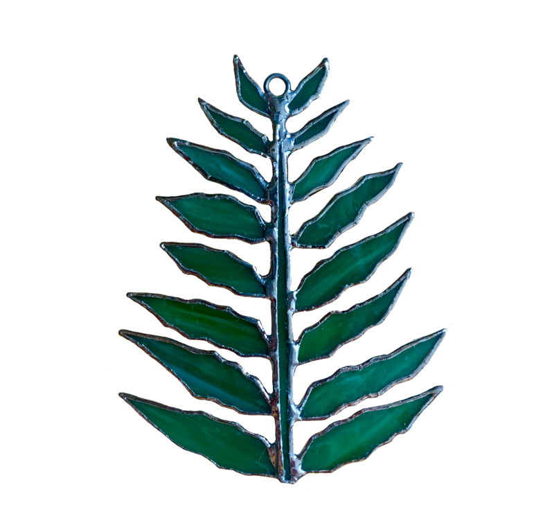 Fern