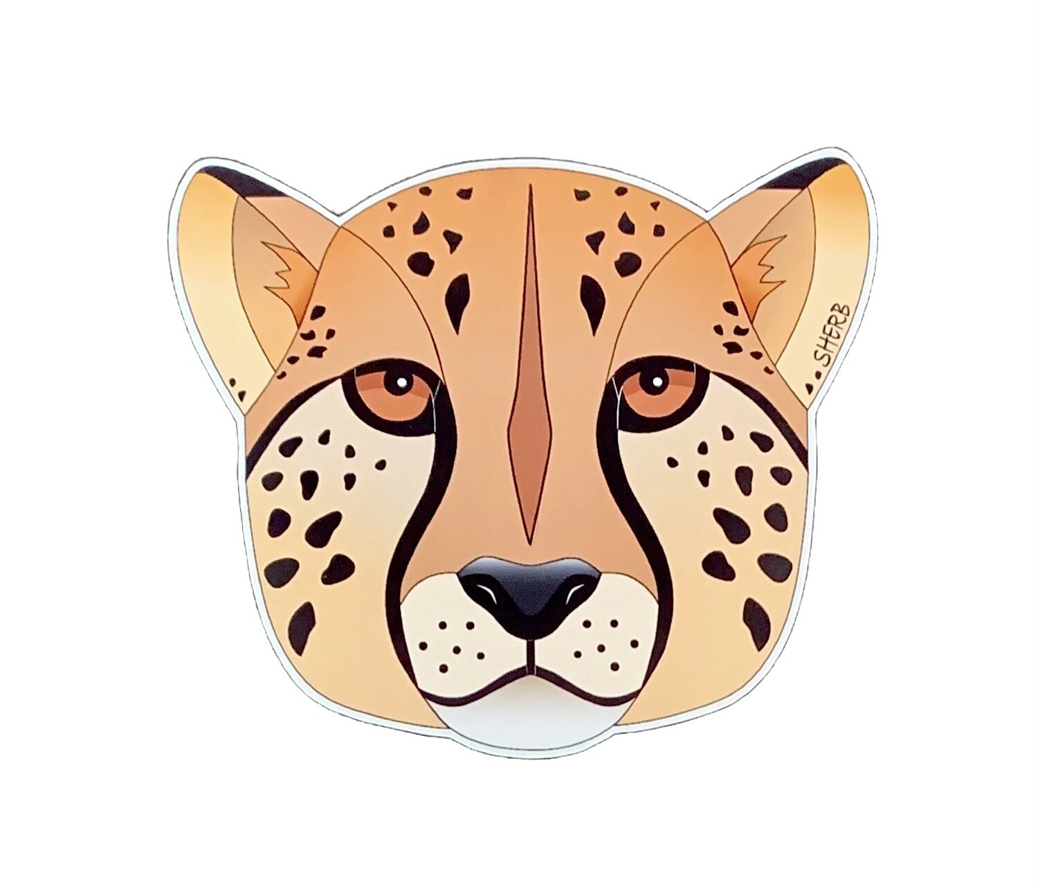 Cheetah