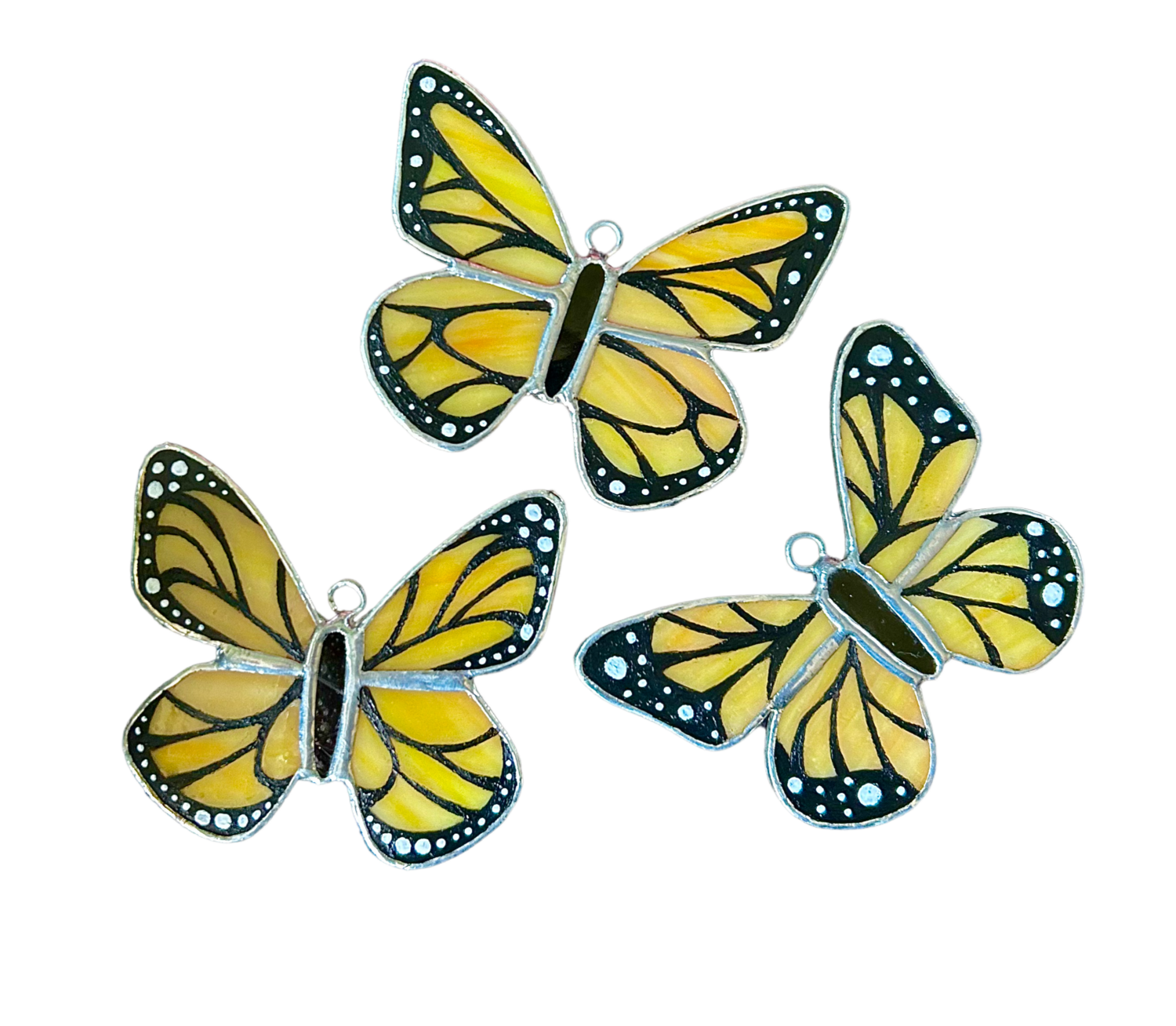 Monarch Butterfly