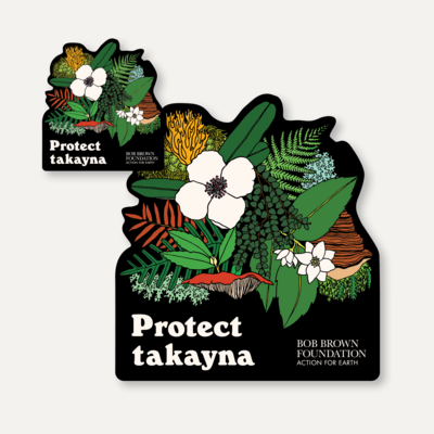 Protect takayna – Aliss Curtis sticker set