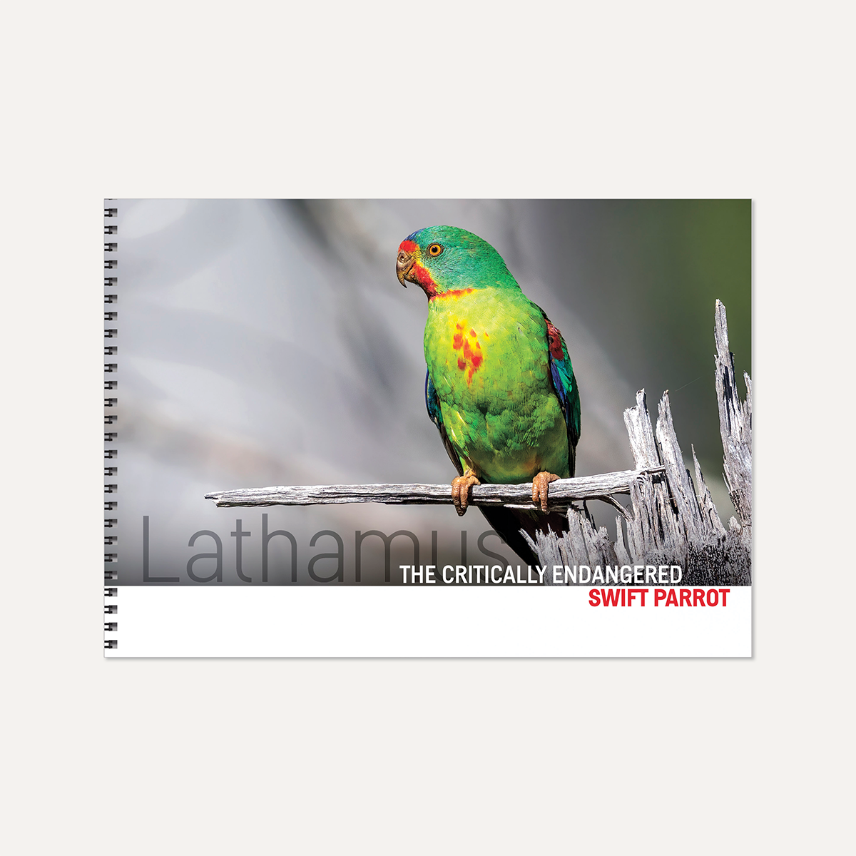 Lathamus -The Critically Endangered Swift Parrot