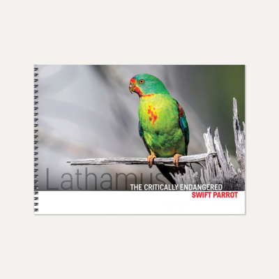 Lathamus — the critically endangered Swift Parrot