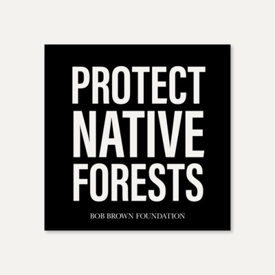 Protect Native Forests square sticker (small)