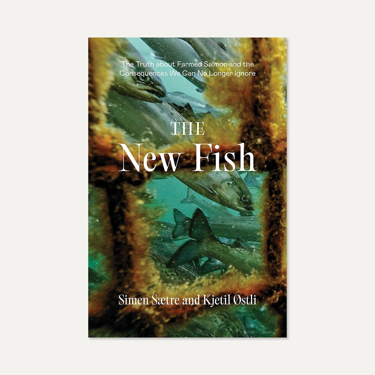 The New Fish — Simen Sætre and Kjetil Østli
