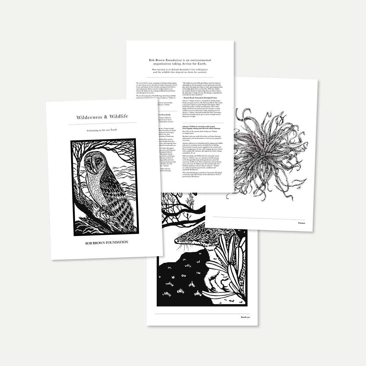 Wilderness and Wildlife –  Colouring in for our Earth (Digital Download)