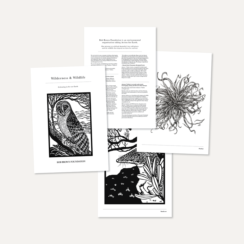 Wilderness and Wildlife –  Colouring in for our Earth (Digital Download)