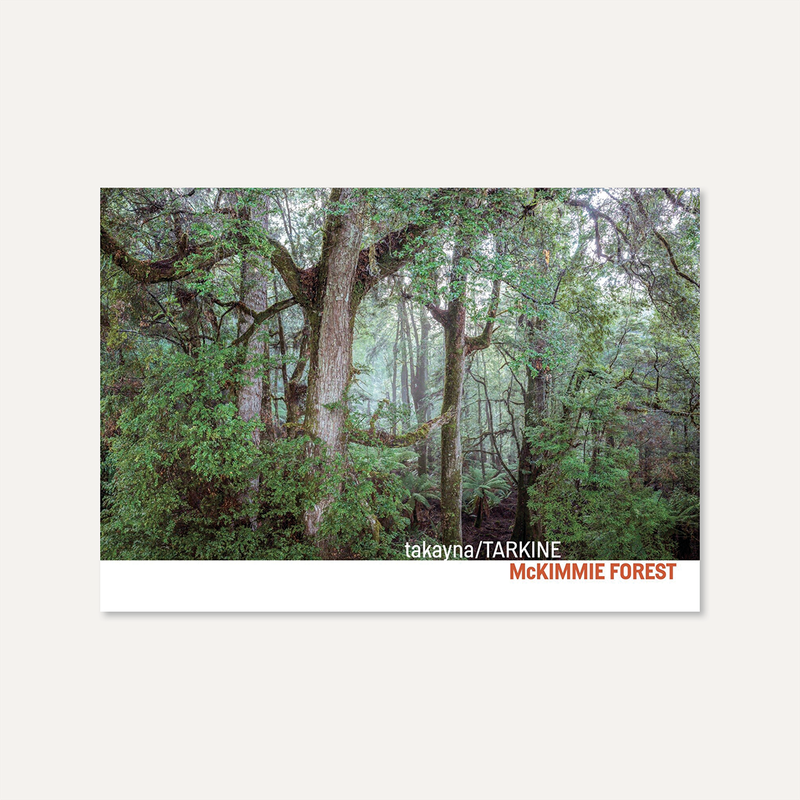 Takayna / Tarkine McKimmie Forest by Rob Blakers