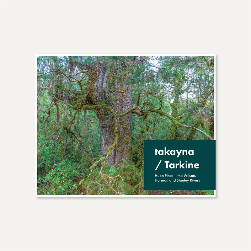 Takayna / Tarkine Huon Pines — the Wilson, Harman and Stanley Rivers by Rob Blakers