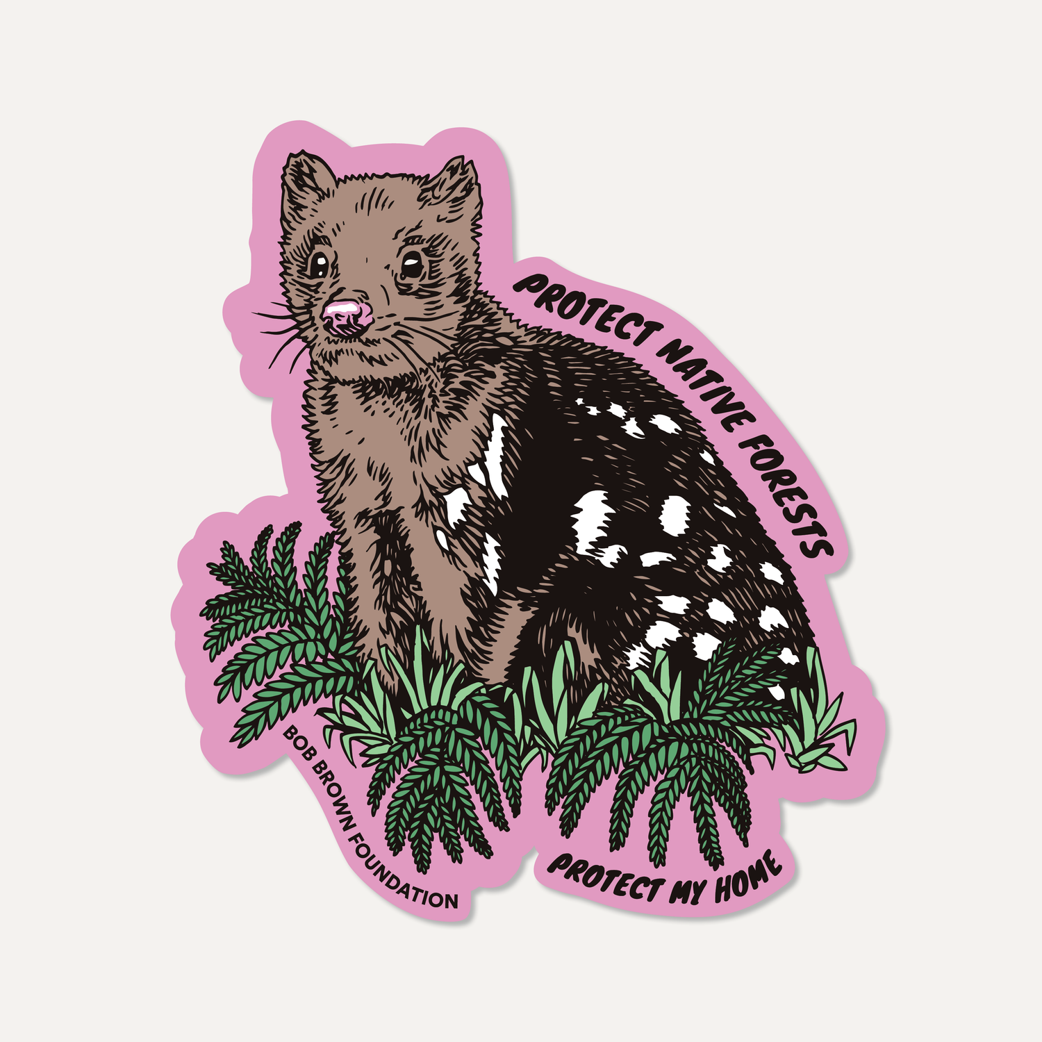 Protect Native Forests — Quoll sticker by Glenno