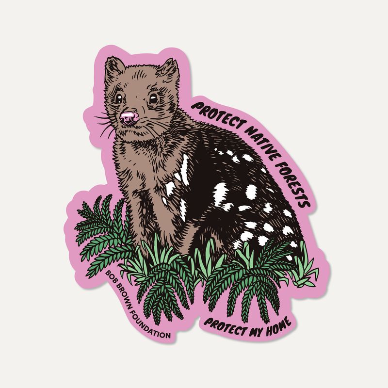 Protect Native Forests — Quoll sticker by Glenno