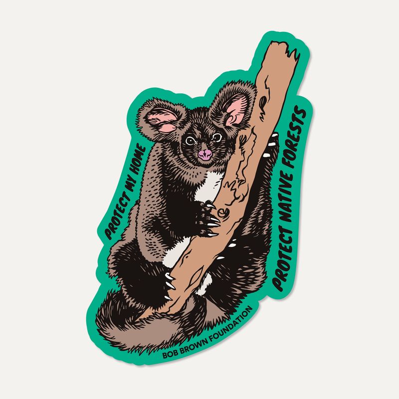 Protect Native Forests — Glider sticker by Glenno
