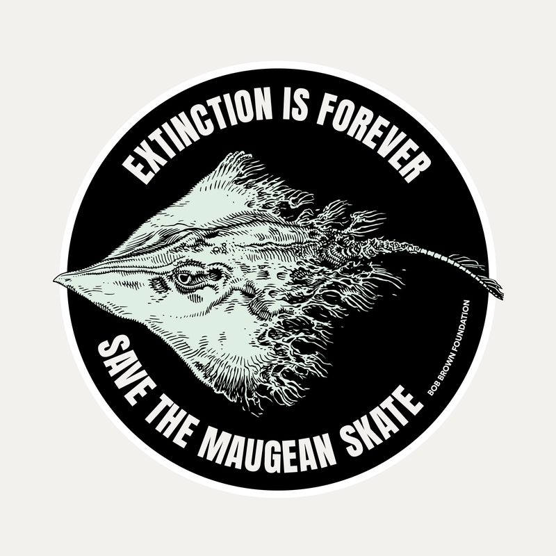 Extinction is forever sticker (black)
