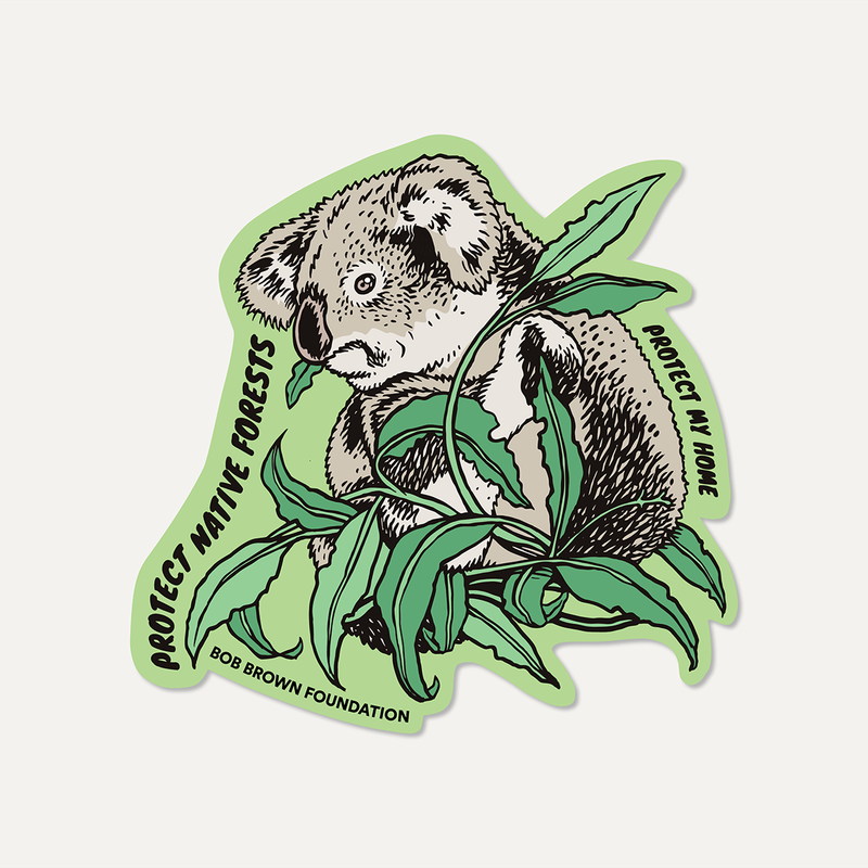 Protect Native Forests — Koala sticker by Glenno