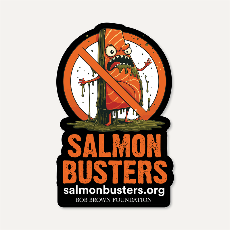 Salmon Busters sticker (angry salmon design)