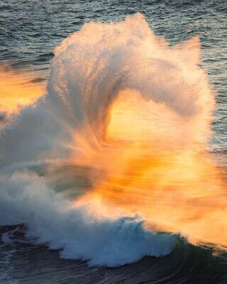 Spectacular photo of huge backwash wave lit by the sunset 